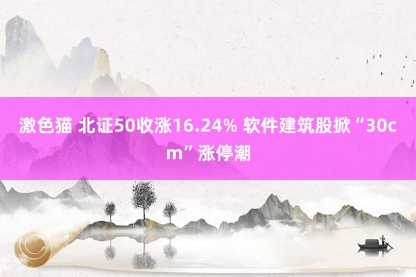 激色猫 北证50收涨16.24% 软件建筑股掀“30cm”涨停潮