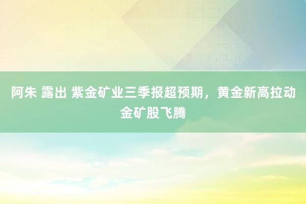 阿朱 露出 紫金矿业三季报超预期，黄金新高拉动金矿股飞腾