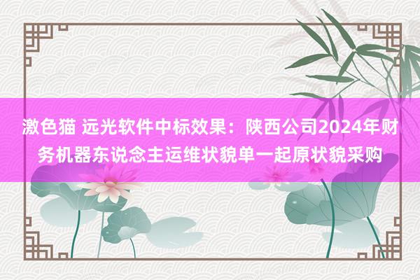 激色猫 远光软件中标效果：陕西公司2024年财务机器东说念主运维状貌单一起原状貌采购