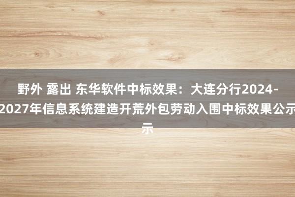 野外 露出 东华软件中标效果：大连分行2024-2027年信息系统建造开荒外包劳动入围中标效果公示