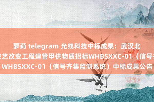 萝莉 telegram 光线科技中标成果：武汉北上、下行驼峰胁制系统技艺改变工程建管甲供物质招标WHBSXXC-01（信号齐集监测系统）中标成果公告