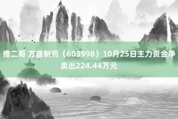 撸二哥 方盛制药（603998）10月25日主力资金净卖出224.44万元