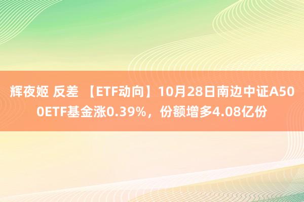 辉夜姬 反差 【ETF动向】10月28日南边中证A500ETF基金涨0.39%，份额增多4.08亿份