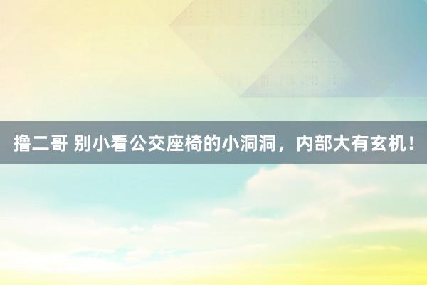 撸二哥 别小看公交座椅的小洞洞，内部大有玄机！