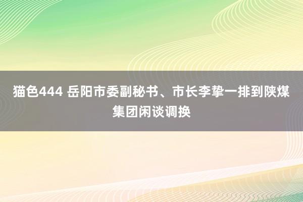 猫色444 岳阳市委副秘书、市长李挚一排到陕煤集团闲谈调换