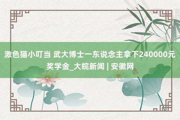 激色猫小叮当 武大博士一东说念主拿下240000元奖学金_大皖新闻 | 安徽网