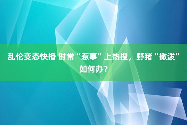 乱伦变态快播 时常“惹事”上热搜，野猪“撒泼”如何办？