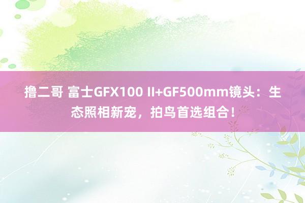 撸二哥 富士GFX100 II+GF500mm镜头：生态照相新宠，拍鸟首选组合！