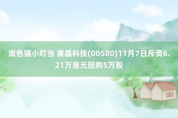 激色猫小叮当 赛晶科技(00580)11月7日斥资6.21万港元回购5万股