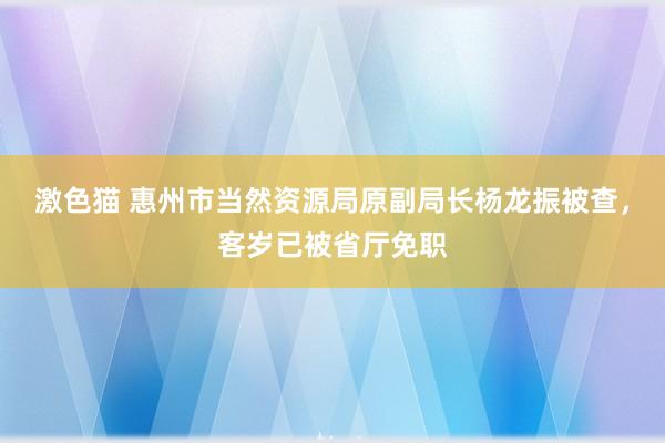 激色猫 惠州市当然资源局原副局长杨龙振被查，客岁已被省厅免职