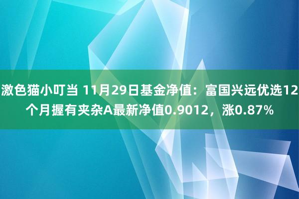 激色猫小叮当 11月29日基金净值：富国兴远优选12个月握有夹杂A最新净值0.9012，涨0.87%