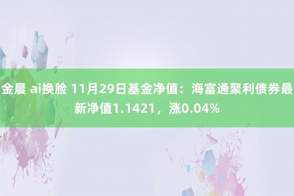 金晨 ai换脸 11月29日基金净值：海富通聚利债券最新净值1.1421，涨0.04%