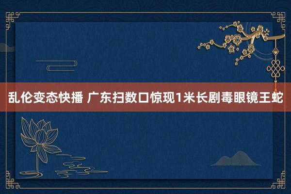 乱伦变态快播 广东扫数口惊现1米长剧毒眼镜王蛇