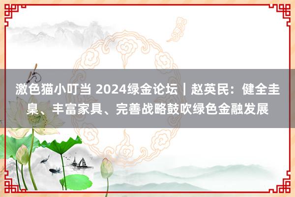 激色猫小叮当 2024绿金论坛｜赵英民：健全圭臬、丰富家具、完善战略鼓吹绿色金融发展