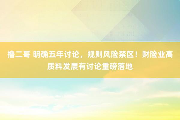 撸二哥 明确五年讨论，规则风险禁区！财险业高质料发展有讨论重磅落地