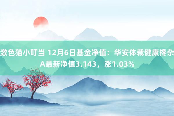 激色猫小叮当 12月6日基金净值：华安体裁健康搀杂A最新净值3.143，涨1.03%