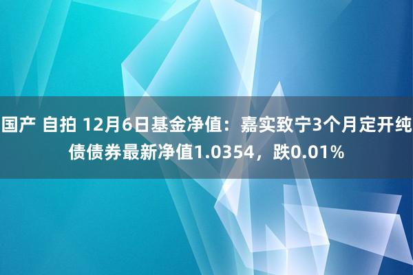 国产 自拍 12月6日基金净值：嘉实致宁3个月定开纯债债券最新净值1.0354，跌0.01%