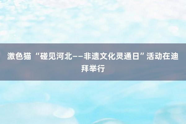 激色猫 “碰见河北——非遗文化灵通日”活动在迪拜举行