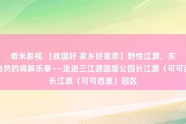 奇米影视 【故国好 家乡好意思】野性江源，东说念主与当然的调解乐章——走进三江源国度公园长江源（可可西里）园区