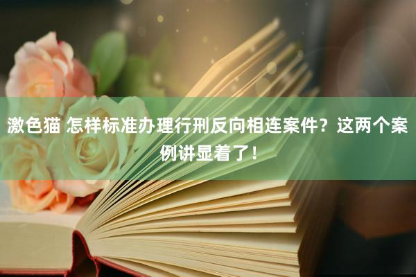 激色猫 怎样标准办理行刑反向相连案件？这两个案例讲显着了！