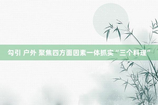 勾引 户外 聚焦四方面因素一体抓实“三个料理”