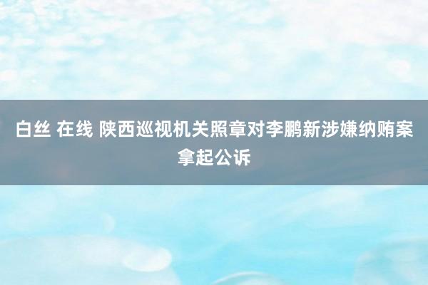 白丝 在线 陕西巡视机关照章对李鹏新涉嫌纳贿案拿起公诉