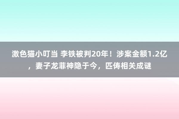 激色猫小叮当 李铁被判20年！涉案金额1.2亿，妻子龙菲神隐于今，匹俦相关成谜