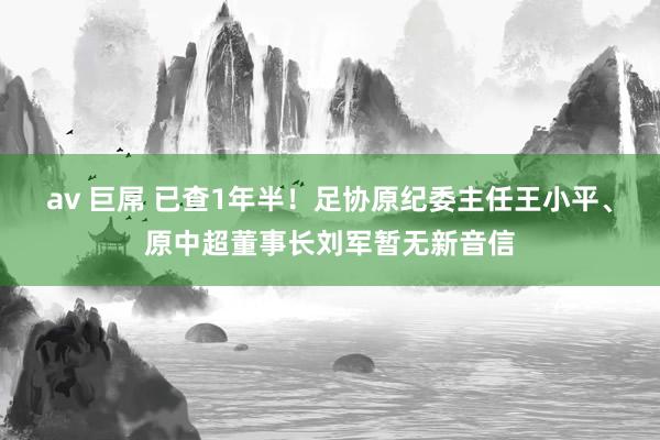 av 巨屌 已查1年半！足协原纪委主任王小平、原中超董事长刘军暂无新音信