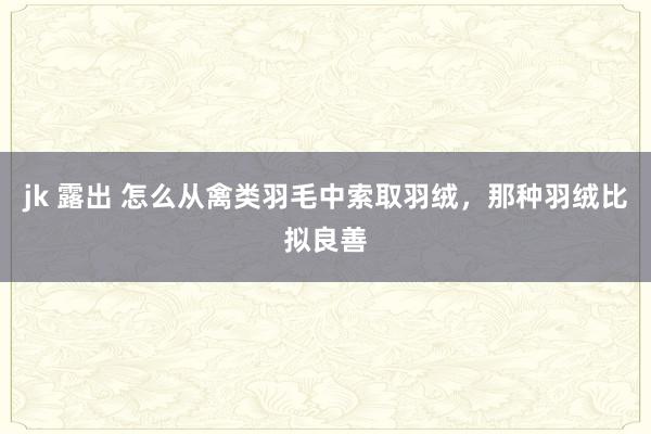 jk 露出 怎么从禽类羽毛中索取羽绒，那种羽绒比拟良善