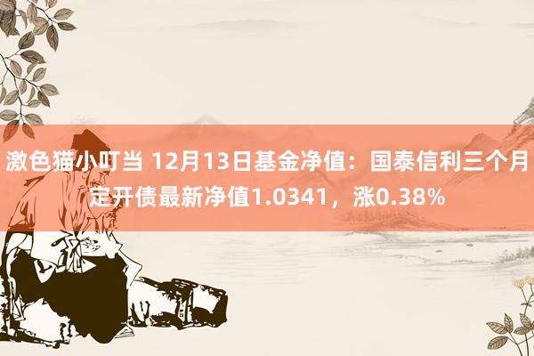 激色猫小叮当 12月13日基金净值：国泰信利三个月定开债最新净值1.0341，涨0.38%