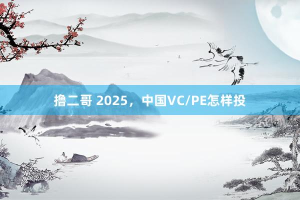 撸二哥 2025，中国VC/PE怎样投