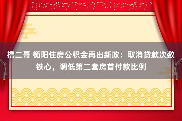 撸二哥 衡阳住房公积金再出新政：取消贷款次数铁心，调低第二套房首付款比例