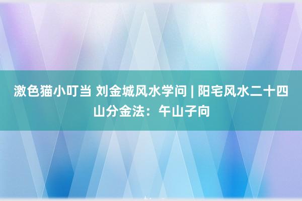 激色猫小叮当 刘金城风水学问 | 阳宅风水二十四山分金法：午山子向