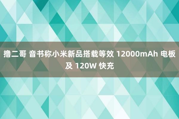 撸二哥 音书称小米新品搭载等效 12000mAh 电板及 120W 快充