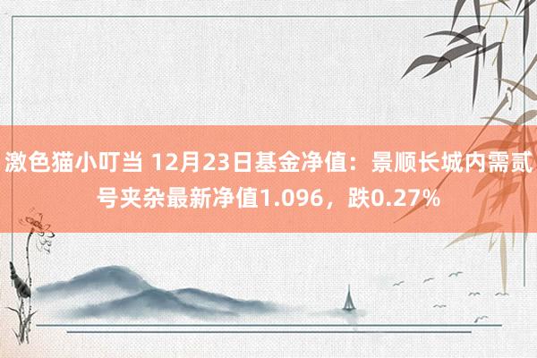 激色猫小叮当 12月23日基金净值：景顺长城内需贰号夹杂最新净值1.096，跌0.27%