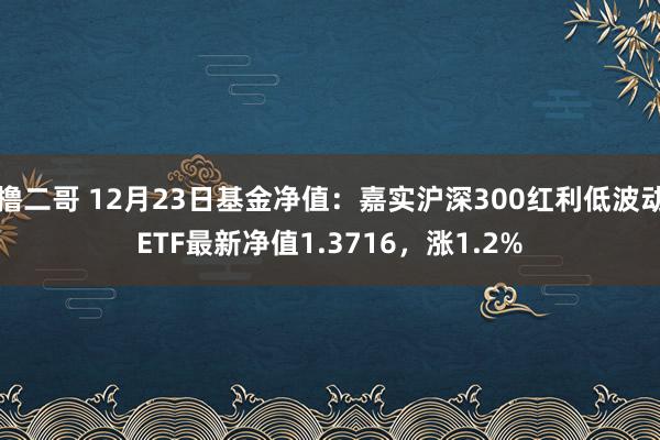 撸二哥 12月23日基金净值：嘉实沪深300红利低波动ETF最新净值1.3716，涨1.2%