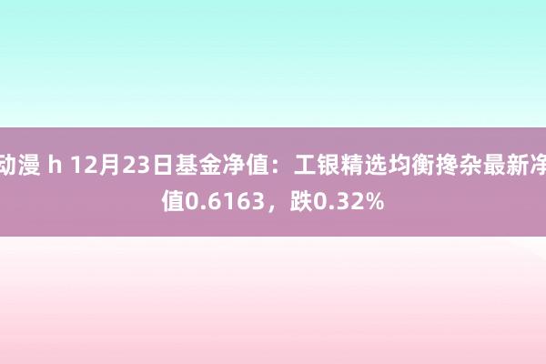 动漫 h 12月23日基金净值：工银精选均衡搀杂最新净值0.6163，跌0.32%