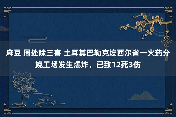 麻豆 周处除三害 土耳其巴勒克埃西尔省一火药分娩工场发生爆炸，已致12死3伤