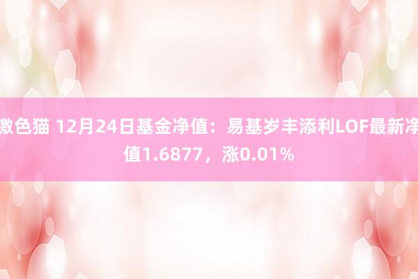 激色猫 12月24日基金净值：易基岁丰添利LOF最新净值1.6877，涨0.01%