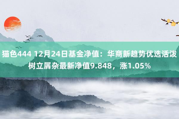 猫色444 12月24日基金净值：华商新趋势优选活泼树立羼杂最新净值9.848，涨1.05%