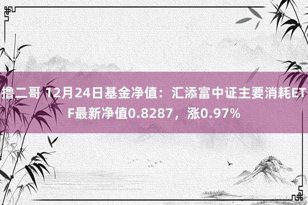 撸二哥 12月24日基金净值：汇添富中证主要消耗ETF最新净值0.8287，涨0.97%