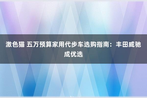 激色猫 五万预算家用代步车选购指南：丰田威驰成优选