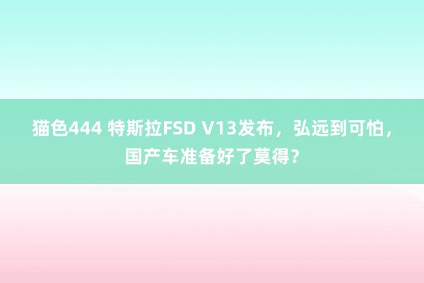 猫色444 特斯拉FSD V13发布，弘远到可怕，国产车准备好了莫得？