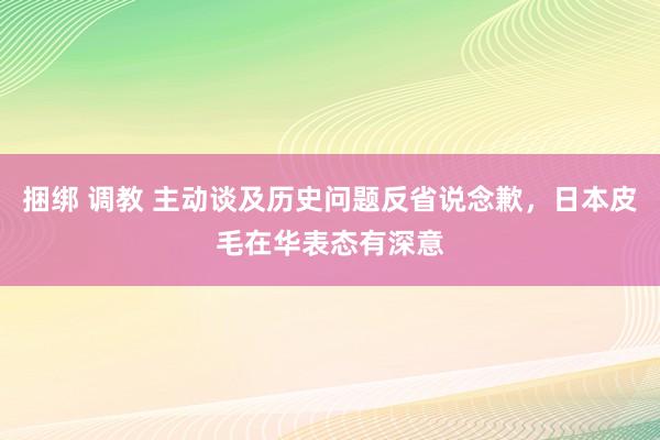 捆绑 调教 主动谈及历史问题反省说念歉，日本皮毛在华表态有深意