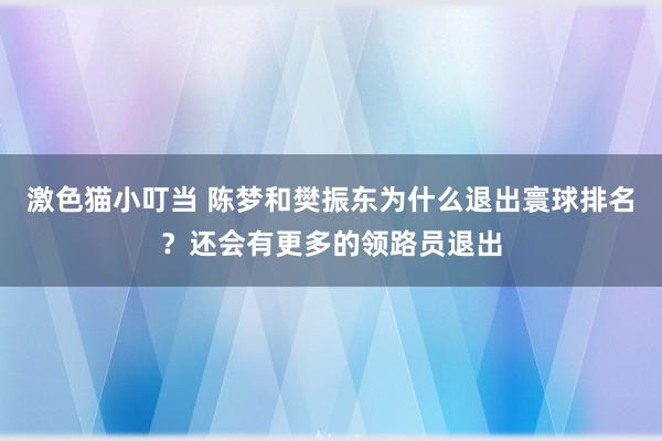 激色猫小叮当 陈梦和樊振东为什么退出寰球排名？还会有更多的领路员退出