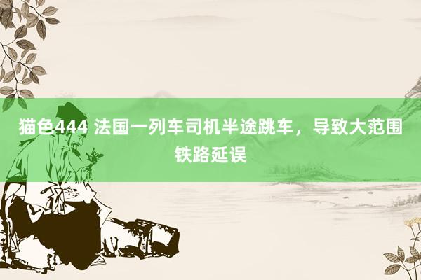 猫色444 法国一列车司机半途跳车，导致大范围铁路延误