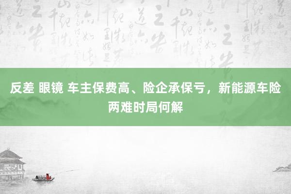 反差 眼镜 车主保费高、险企承保亏，新能源车险两难时局何解