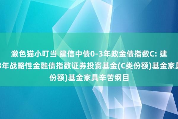 激色猫小叮当 建信中债0-3年政金债指数C: 建信中债0-3年战略性金融债指数证券投资基金(C类份额)基金家具辛苦纲目