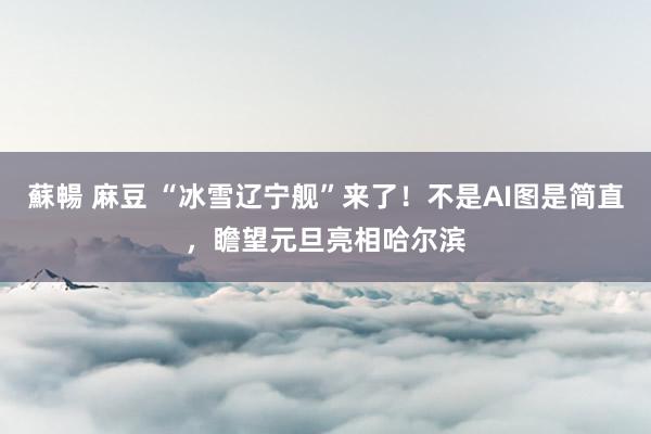 蘇暢 麻豆 “冰雪辽宁舰”来了！不是AI图是简直，瞻望元旦亮相哈尔滨