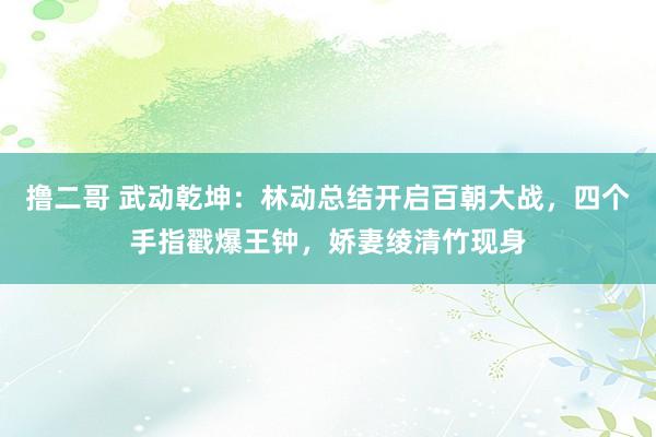 撸二哥 武动乾坤：林动总结开启百朝大战，四个手指戳爆王钟，娇妻绫清竹现身